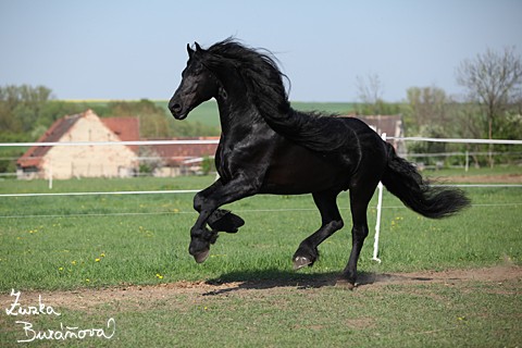 http://www.pise.cz/blog/galerie/vjsbaw/51202.jpg