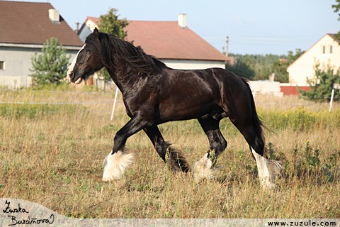 http://www.pise.cz/blog/galerie/vjsbaw/51256.jpg