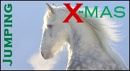 X-mas_Jumping_Propagace