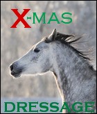 X-mas_Dressage_Propagace