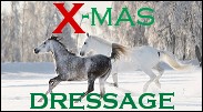 X-mas_Dressage_Propagace_2