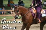 Quicker Wins Propagace