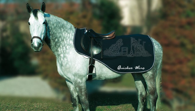 Quicker Wins Bederka