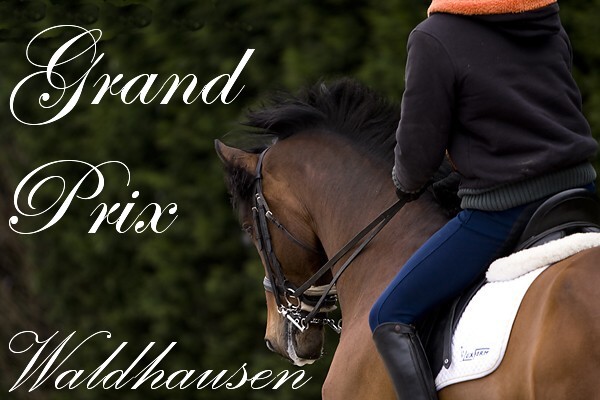 Grand Prix Waldhausen
