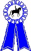 4.msto Grand Prix Waldhausen