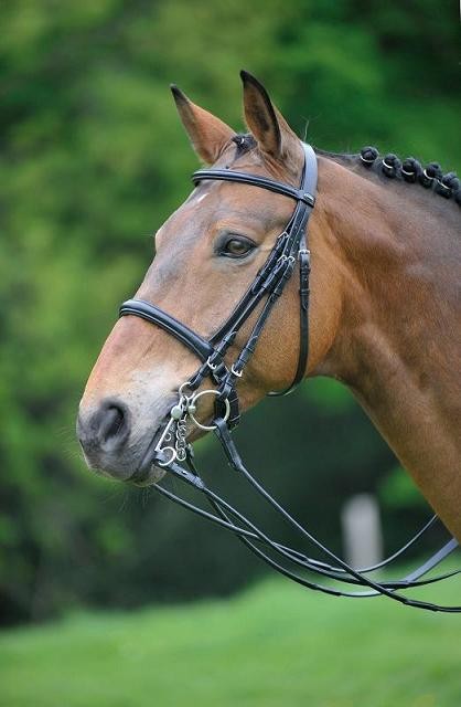 Grand Prix Waldhausen