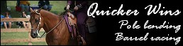 Quicker Wins Propagace