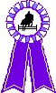 6.misto Grand Prix KenTaur