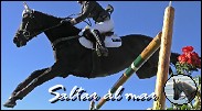 Saltar al mar