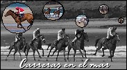 Carreras en el mar Propagace