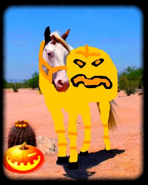 HidalgobySaty