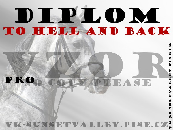 Diplom © VK Sunset Valley