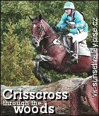 Crisscross though the woods P