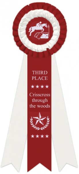 Crisscross though the woods P