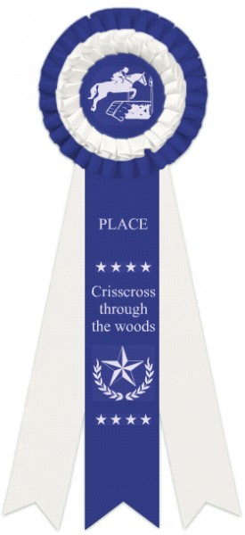 Crisscross though the woods