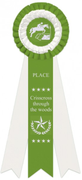 Crisscross though the woods