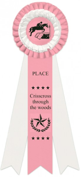 Crisscross though the woods