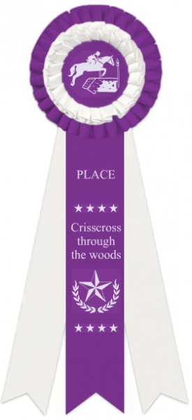 Crisscross though the woods