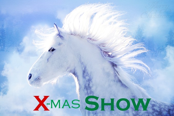 X-mas_Show