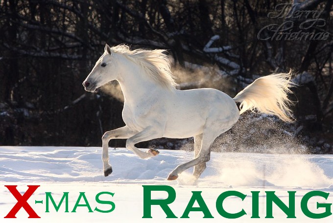 X-mas_Racing