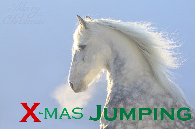 X-mas_Jumping