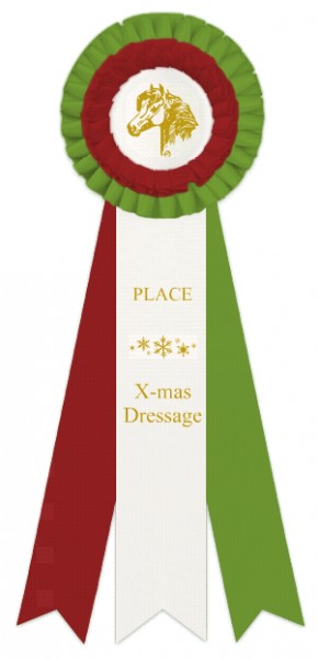 X-mas_Dressage_Place