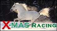 X-mas_Racing_Propagace