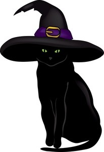 Black witch Cat
