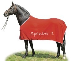 Spanker II