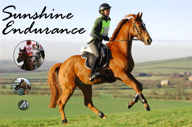 Sunshine Endurance