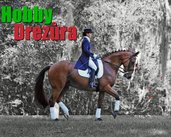 Hobby Drezra