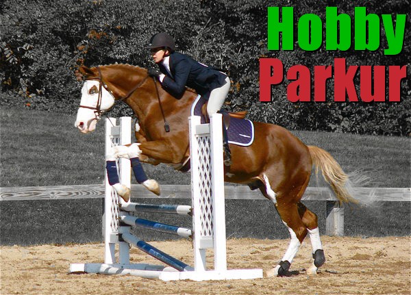 Hobby Parkur