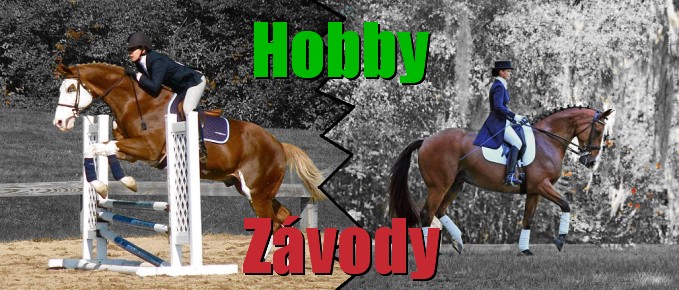Hobby Zvody